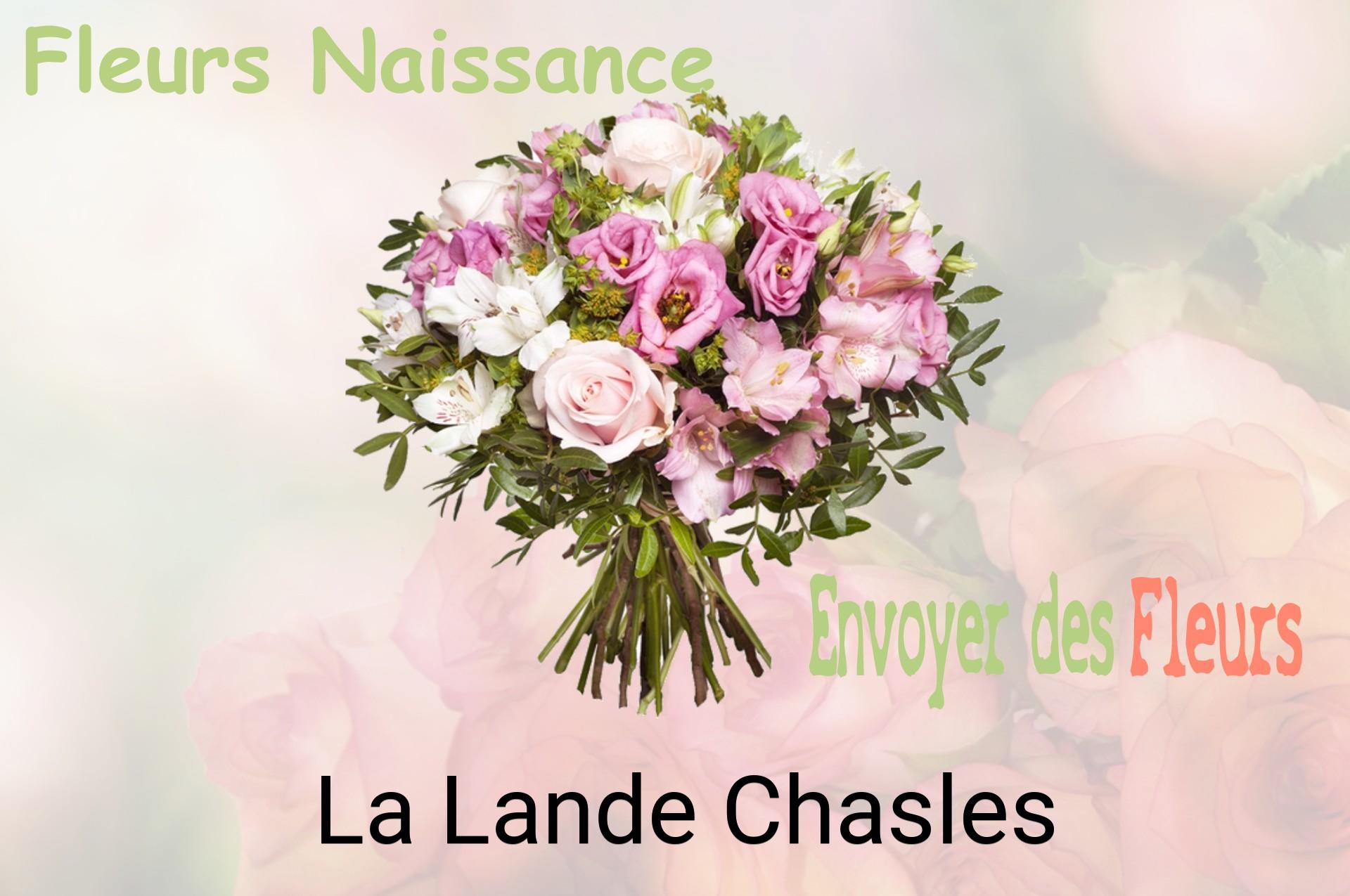 Bouquet de fleurs de naissance livré à La Lande-Chasles